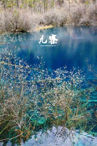 全民烧脑3去广告版