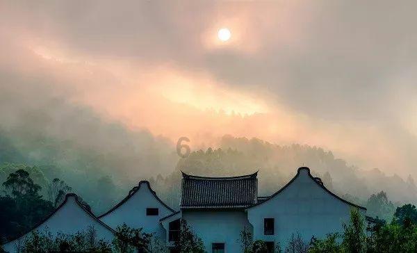 逃出小象森林